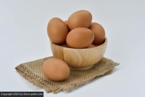 Egg white food protein 162712