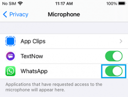 Provide whatsapp with access to microphone