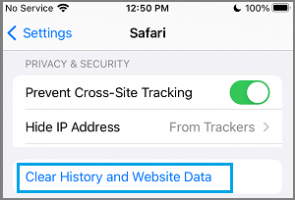 Ari history website data option in iphone settings