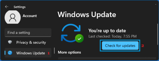 Check for updates windows 11