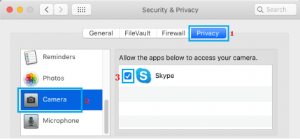 Allow skype to access camera on mac