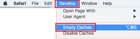 Empty cache option safari mac