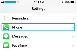 Phone option on iphone settings