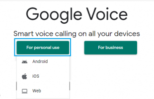 Google voice personal use options