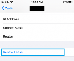 Renew dhcp lease option on iphone