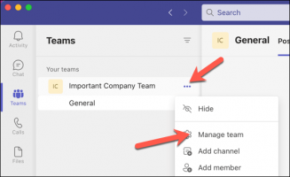 E or teams picture in microsoft teams 9 compressed
