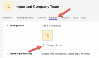  or teams picture in microsoft teams 10 compressed