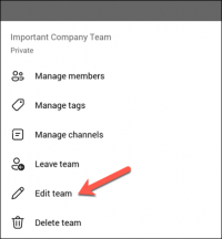  or teams picture in microsoft teams 13 compressed
