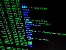 what-is-the-bash-shell-in-linux-1-compressed.jpg