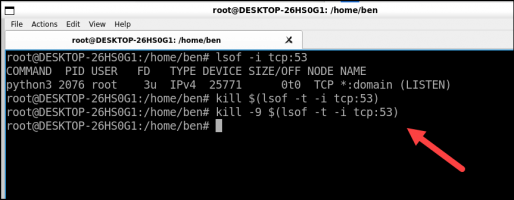 L a linux process using a port number 3 compressed