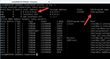 L a linux process using a port number 4 compressed