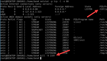 L a linux process using a port number 6 compressed