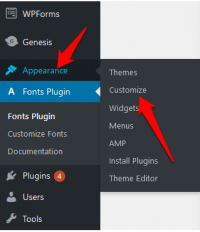 E fonts typography customizer appearance customize
