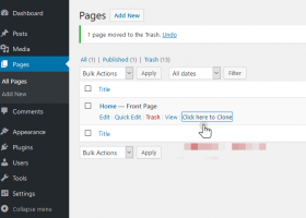 Licate a page in wordpress duplicate page and post