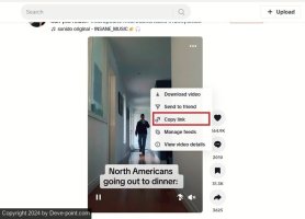 download-tiktok-videos-pc-copy-link.jpg