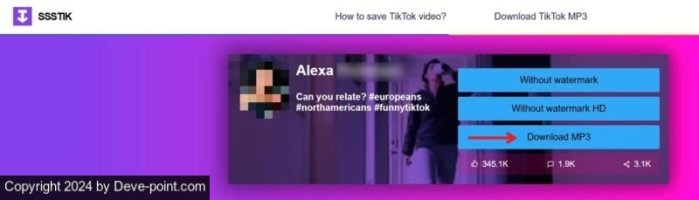 nload-tiktok-videos-pc-ssstik-download-mp3-800x229.jpg