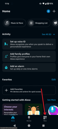 Change langugae amazon alexa app more