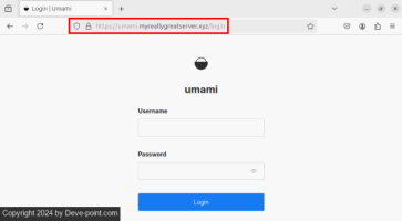 Ics umami linux 06 highlight https website address