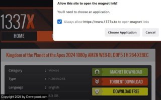 Download Magnet Link Firefox Warning Message