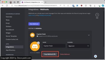 Discord copy webhook url 800x460