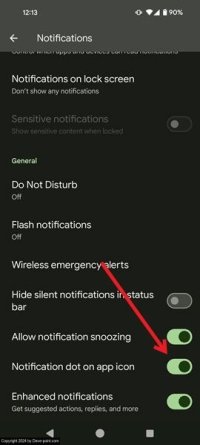 Enable push notifications android notification dot