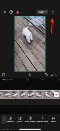 Capcut export reversed video