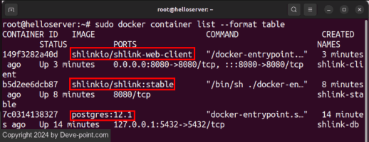 Er shlink linux 11 check docker containers running