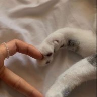 ريــم