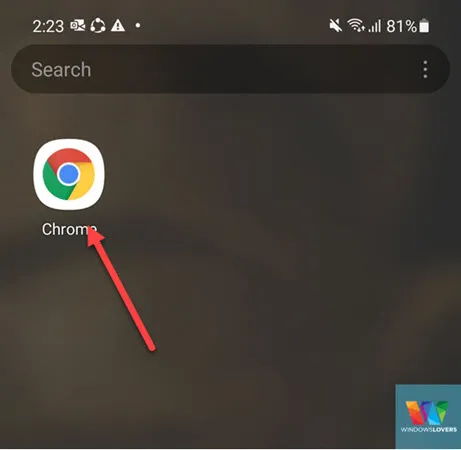 search-google-chrome-1.jpg